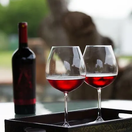 Patiria House Ormos Panagias